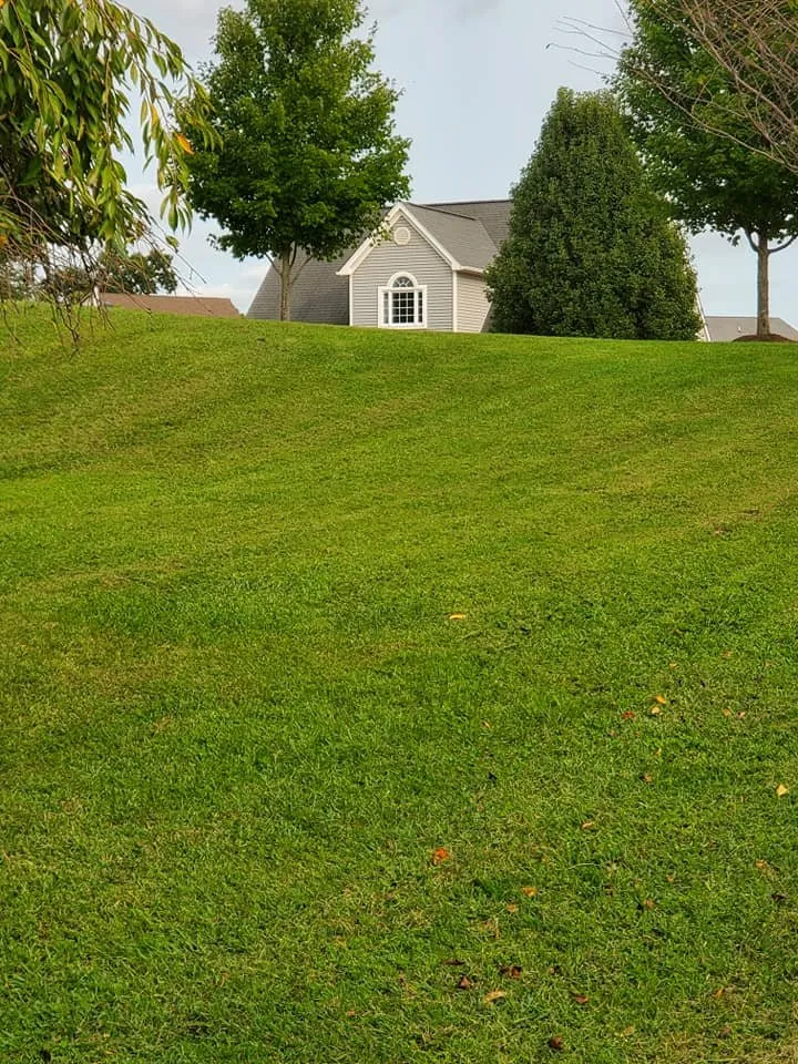 Custom lawn care service for beautiful yards in Goode, VA by Shema Lawn Care