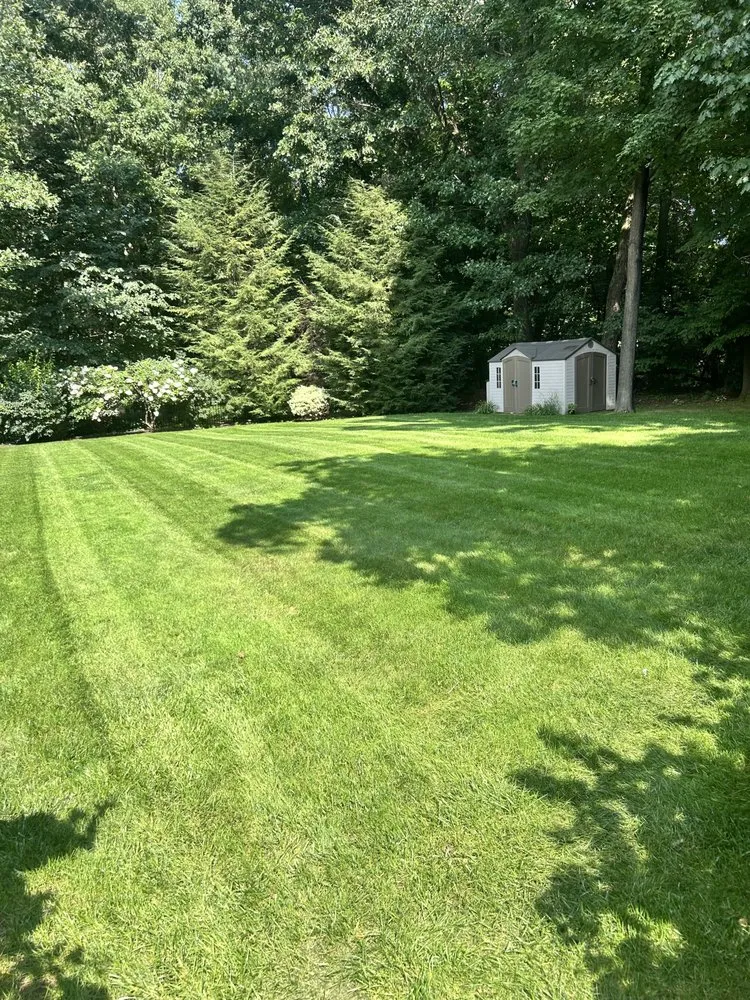 Reliable lawn care service near you across Clifton Park, NY - Shen Boys Mowing and Landscaping