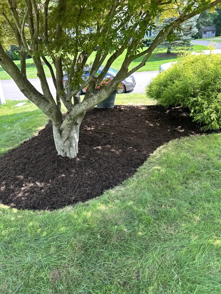 Custom yard maintenance in Clifton Park, NY - Shen Boys Mowing and Landscaping