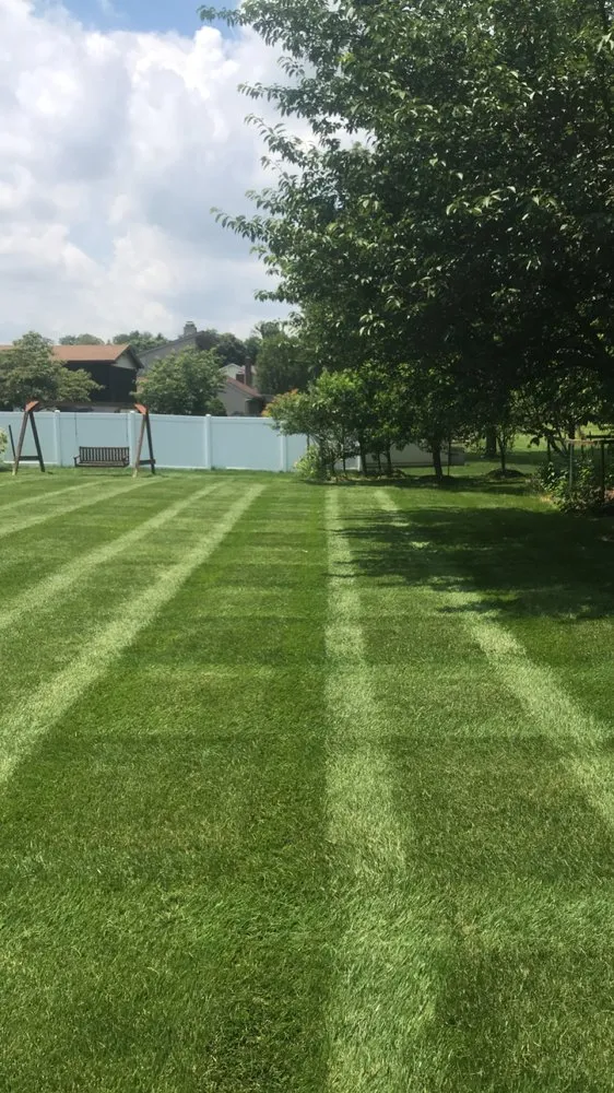 Expert residential landscaping for outdoor upgrades across Stephenson, VA - Shenandoah Edge