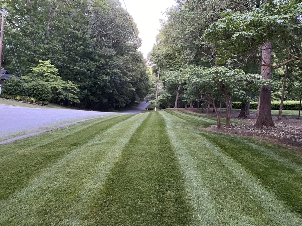Expert landscape installation experts serving Stephenson, VA - Shenandoah Edge