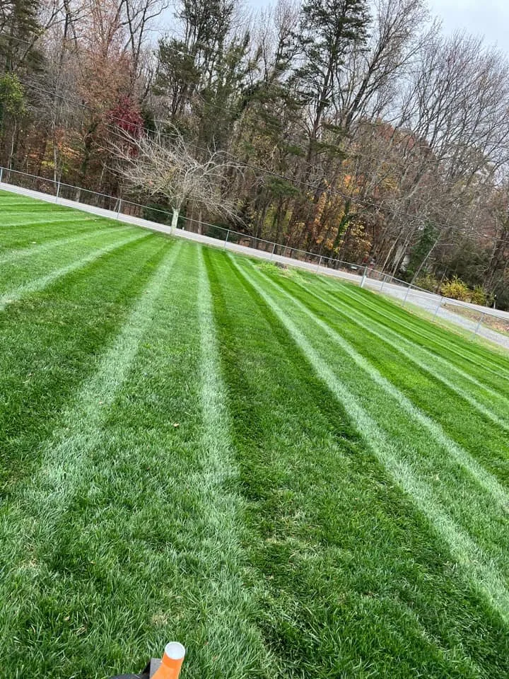 Affordable landscape design in Stephenson, VA - Shenandoah Edge