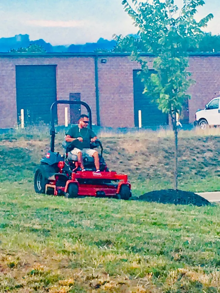 Expert garden landscaping for outdoor upgrades in Winchester, VA by Shenandoah Property Services