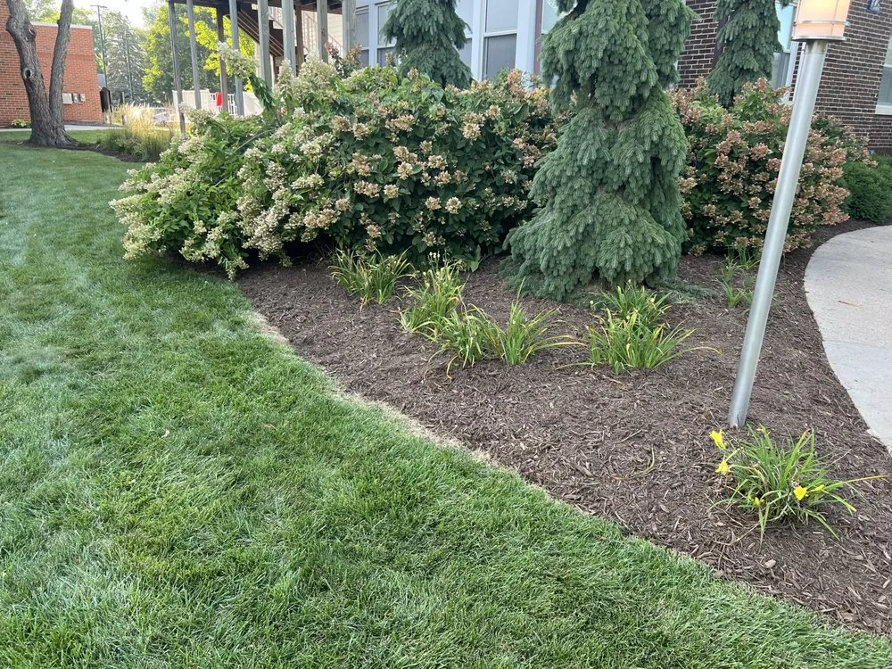 Affordable yard maintenance in Indianola, IA - Shep Boys Lawn And Tree Service