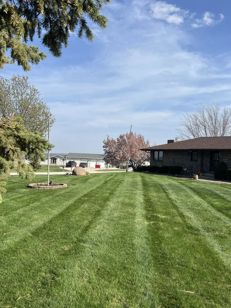 Reliable yard cleanup service for beautiful yards in Indianola, IA by Shep Boys Lawn And Tree Service
