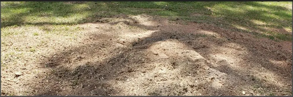 Custom landscaping services in Fort White, FL by Shepard and Son's