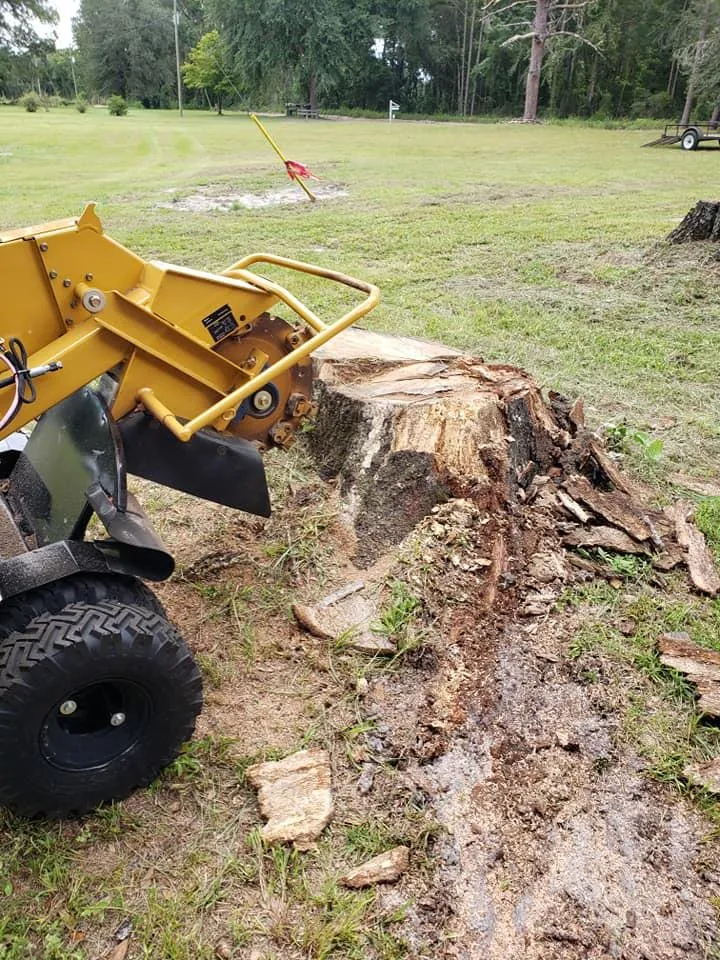 Reliable landscaping services experts serving Fort White, FL - Shepard and Son's