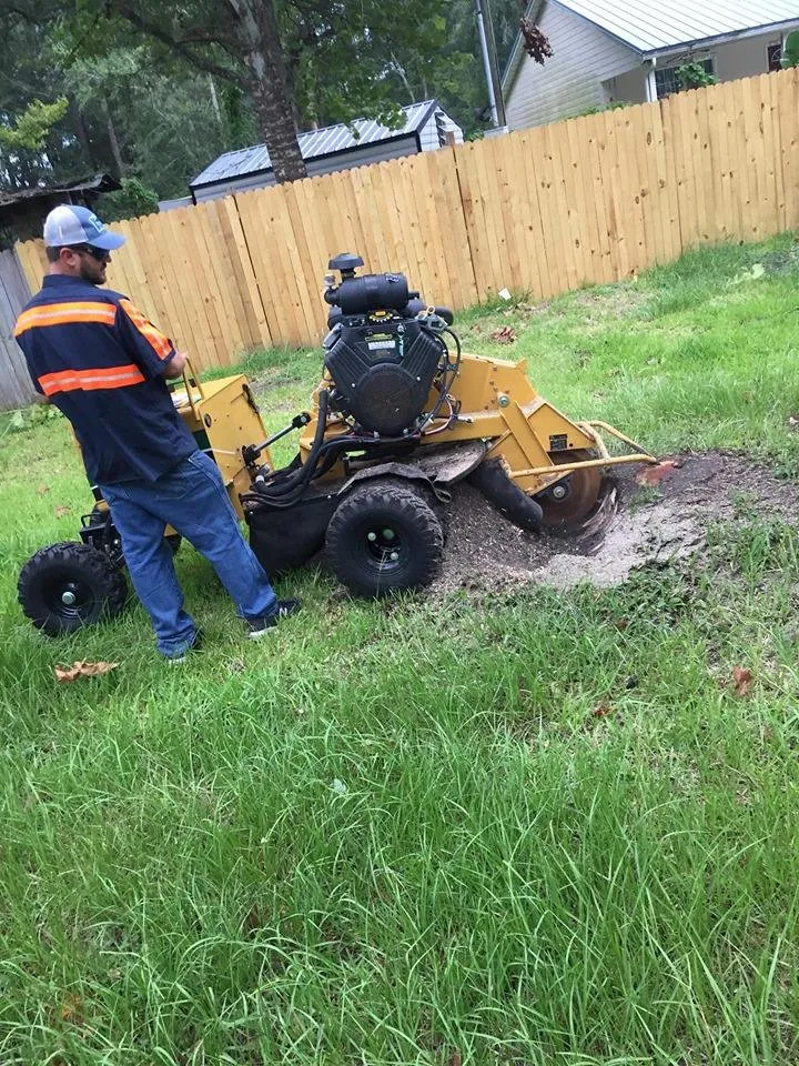 Custom yard cleanup service in Fort White, FL - Shepard and Son's
