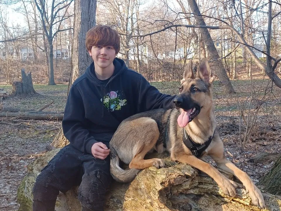 Expert landscape design in Lansing, MI by Shepard landscaping