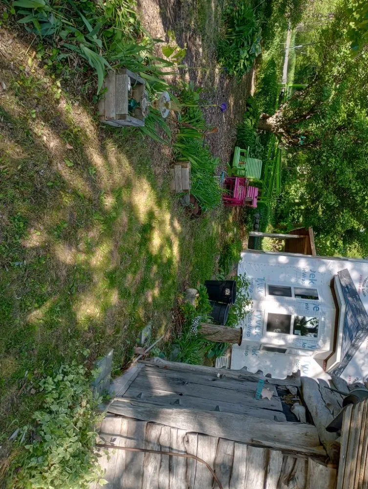 Professional lawn care service in mancelona, MI by Shephard Yard And Lawn Care