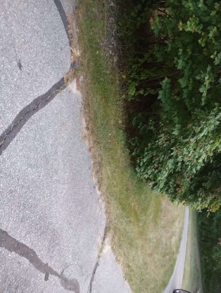 Custom landscaping services for year-round maintenance in mancelona, MI by Shephard Yard And Lawn Care