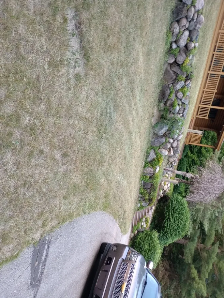 Expert yard cleanup service near you in mancelona, MI by Shephard Yard And Lawn Care