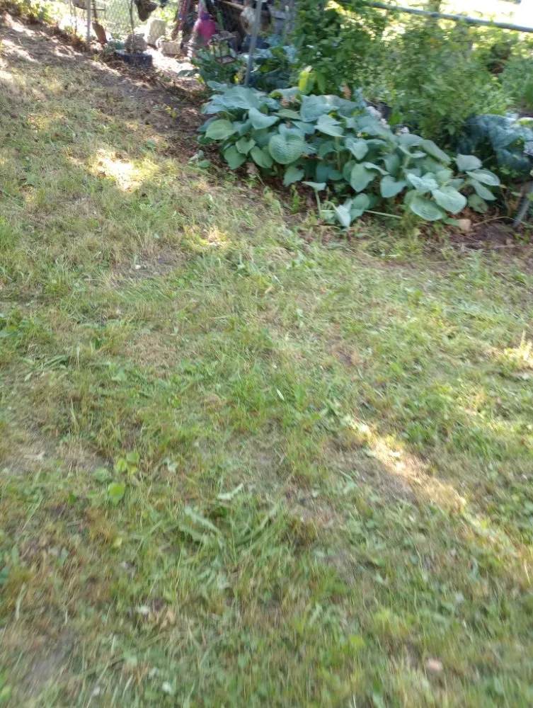 Reliable garden landscaping in mancelona, MI by Shephard Yard And Lawn Care