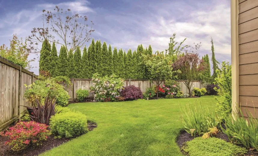 Affordable yard cleanup service experts serving mancelona, MI - Shephard Yard And Lawn Care