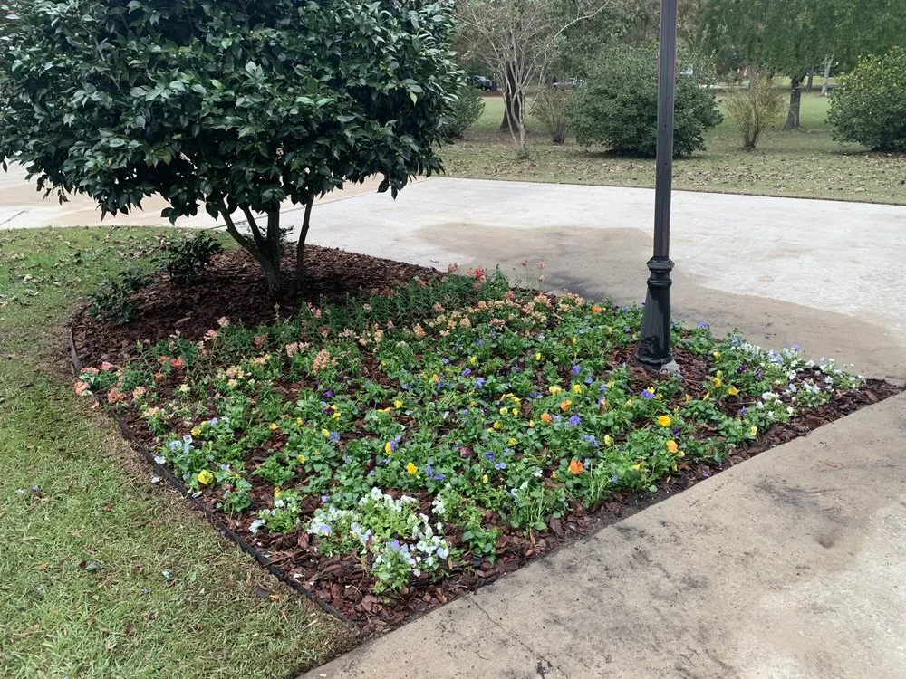 Top-rated yard cleanup service in Graceville, FL by Shepherd Land & Sky