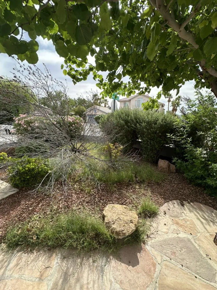 Top-rated outdoor landscaping in Las Vegas, NV - Shepherd Landscaping and Maintenance