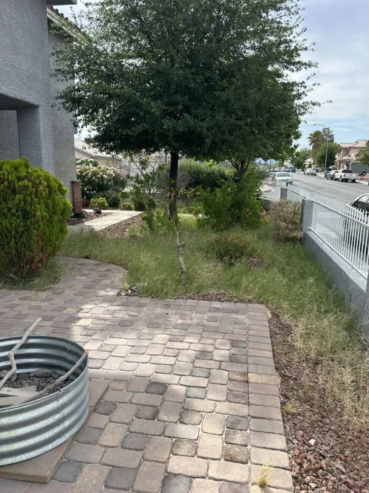 Affordable lawn care service in Las Vegas, NV - Shepherd Landscaping and Maintenance