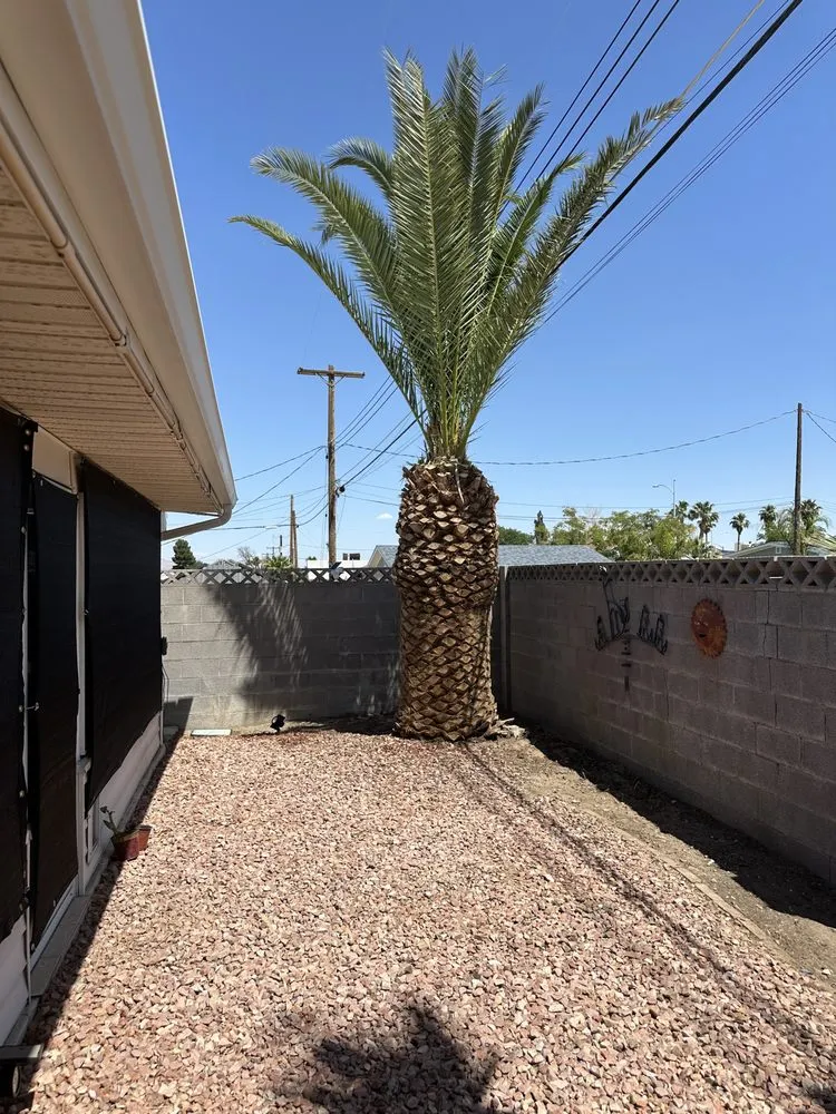 Custom lawn care service for beautiful yards in Las Vegas, NV by Shepherd Landscaping and Maintenance