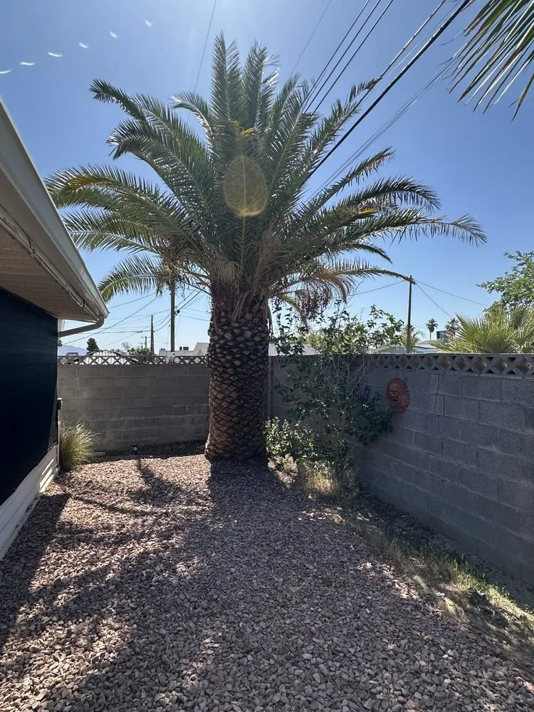 Expert garden landscaping with custom design in Las Vegas, NV by Shepherd Landscaping and Maintenance