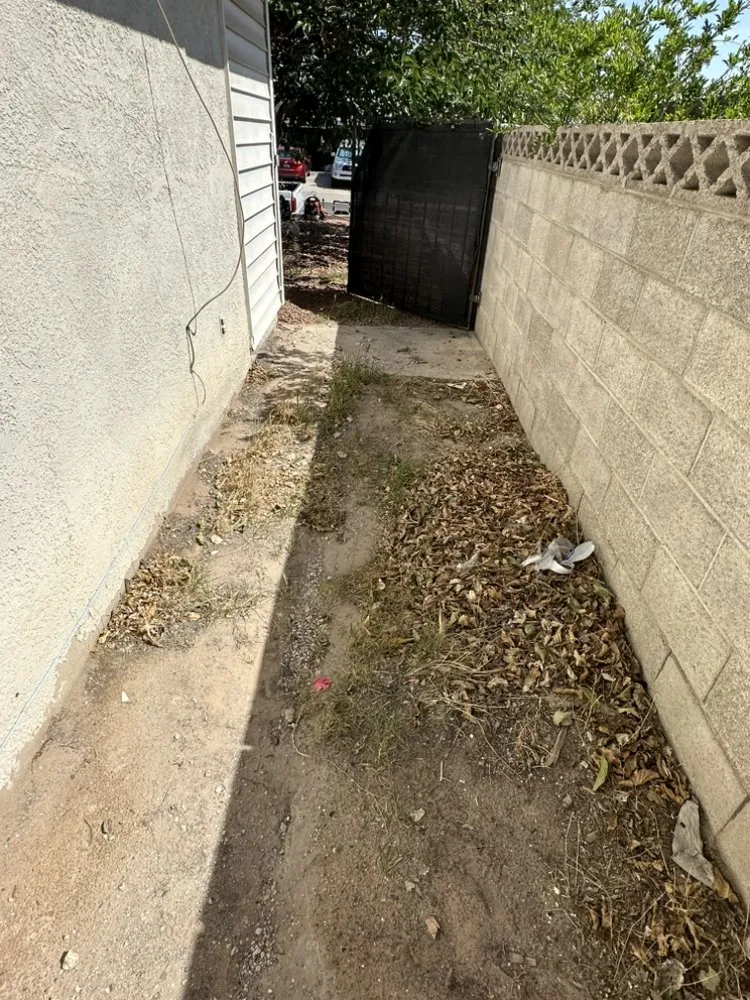 Professional landscape design for outdoor upgrades across Las Vegas, NV - Shepherd Landscaping and Maintenance