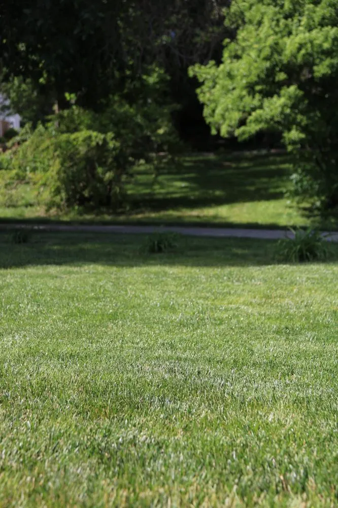 Professional landscaping services in Urbandale, IA - Shepherd Lawn Services