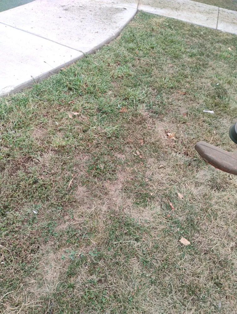 Professional yard cleanup service in Topeka, KS by Shepherds Home and Lawn Care