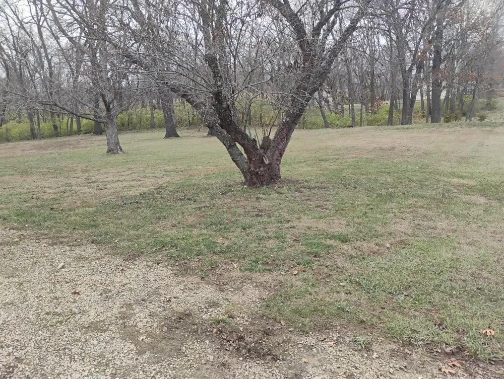 Expert landscape design in Topeka, KS - Shepherds Home and Lawn Care