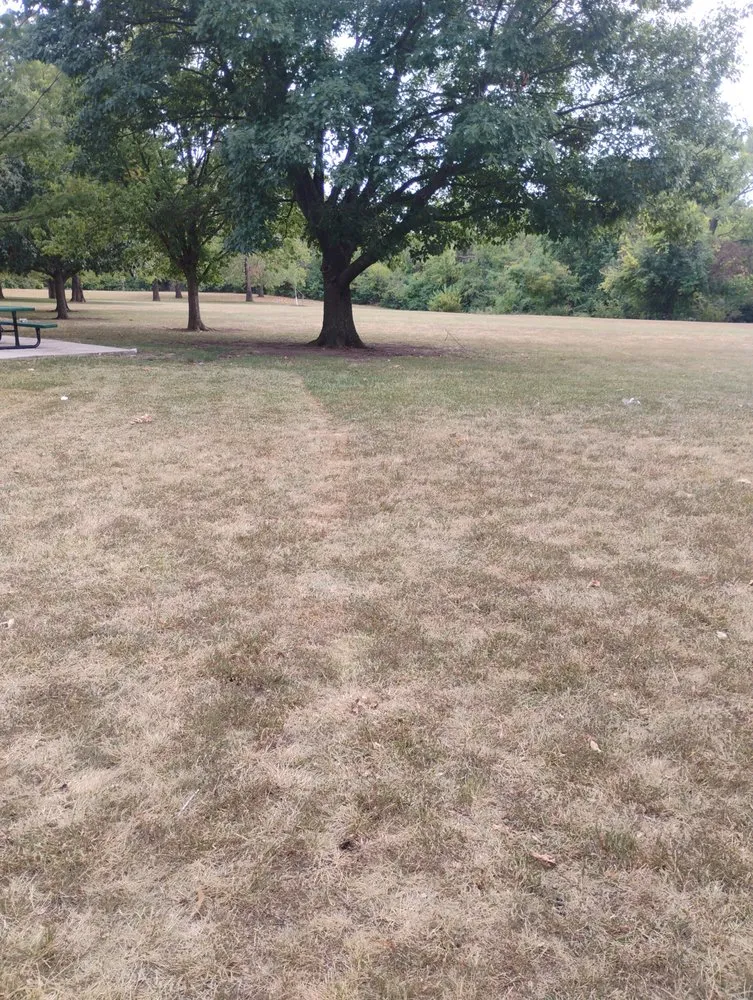 Expert landscape installation in Topeka, KS - Shepherds Home and Lawn Care