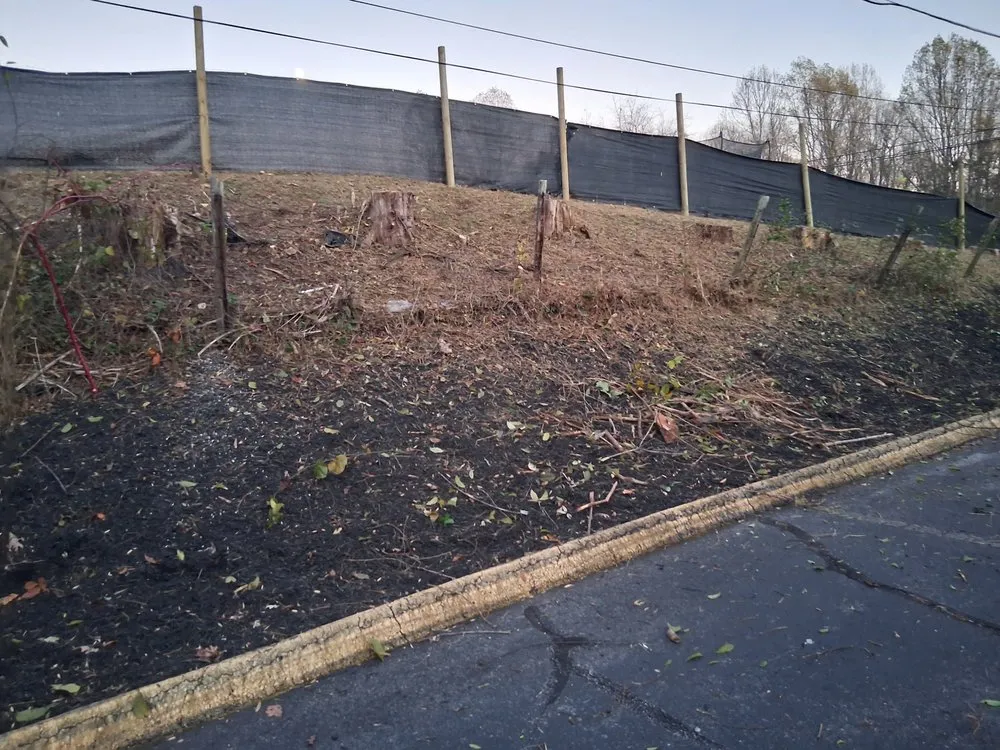 Professional lawn care service for beautiful yards in Millers Creek, NC by Shepherd's Landscaping And Tree Trimming