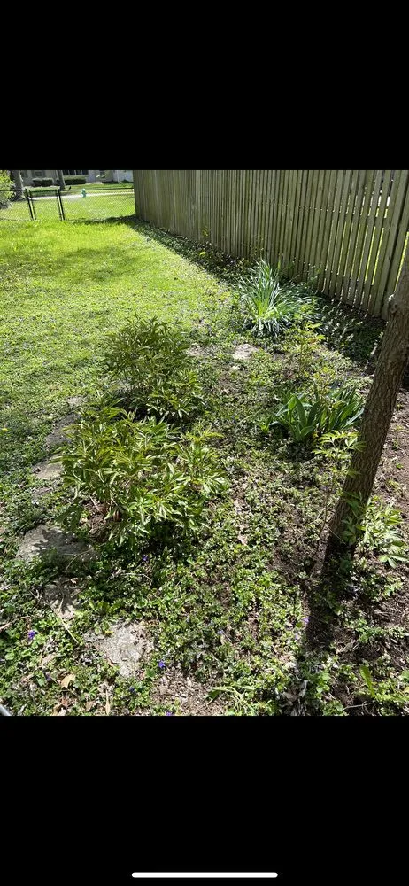 Trusted landscape installation for homes across Indianapolis, IN - Shepherds Landscaping