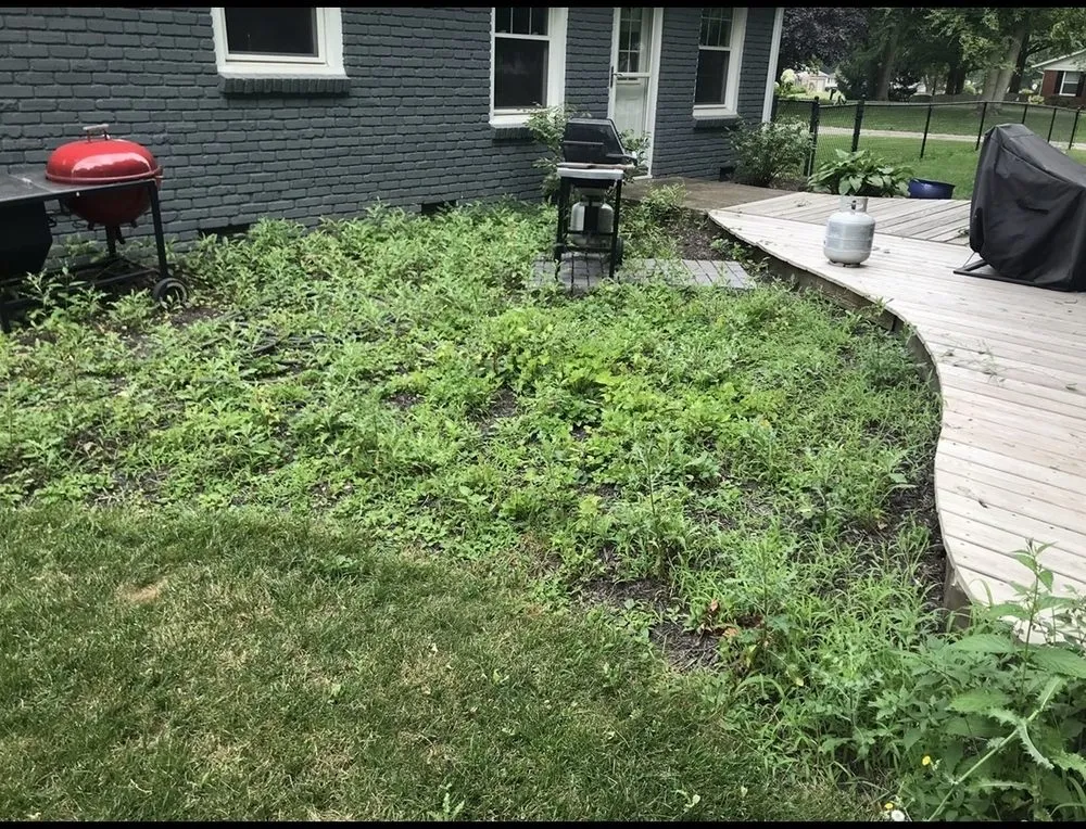 Affordable yard cleanup service near you in Indianapolis, IN by Shepherds Landscaping