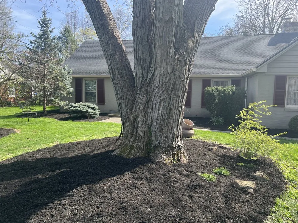 Professional landscape installation in Indianapolis, IN by Shepherds Landscaping