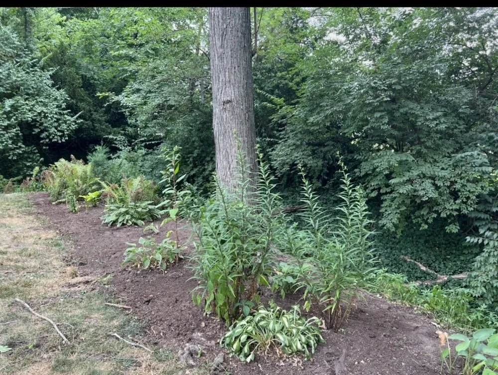 Trusted landscape design with custom design in Indianapolis, IN by Shepherds Landscaping