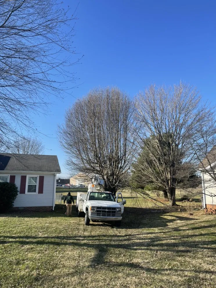 Trusted landscape installation experts serving Bowling Green, KY - Shepherds Lawn and Tree Service