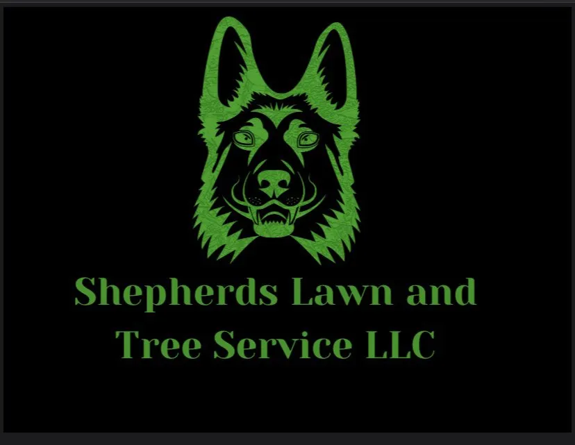 Trusted yard cleanup service experts serving Bowling Green, KY - Shepherds Lawn and Tree Service