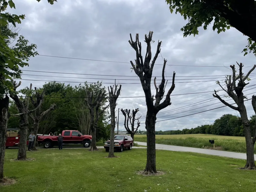 Top-rated garden landscaping near you across Bowling Green, KY - Shepherds Lawn and Tree Service