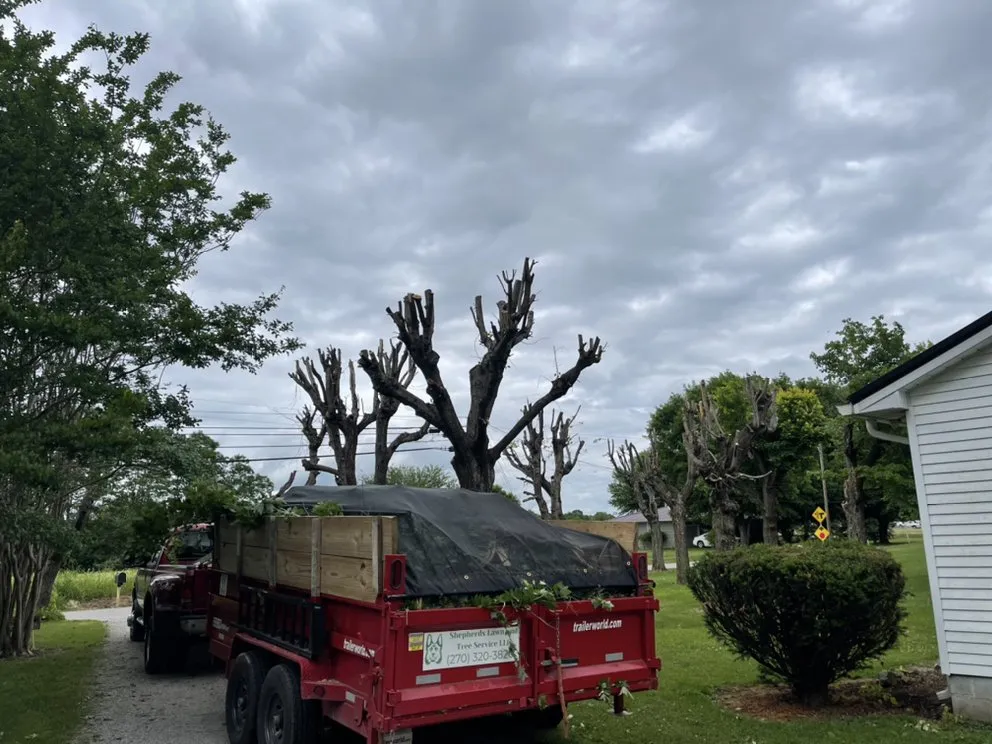 Custom yard cleanup service in Bowling Green, KY - Shepherds Lawn and Tree Service