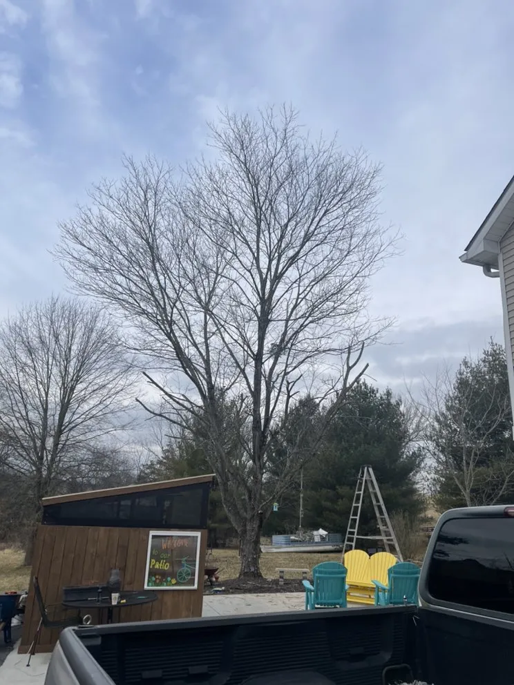 Trusted lawn mowing service for beautiful yards in Bowling Green, KY by Shepherds Lawn and Tree Service