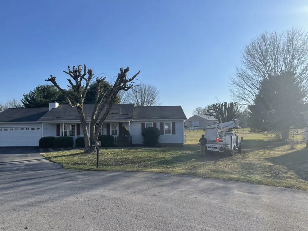 Expert outdoor landscaping for outdoor upgrades across Bowling Green, KY - Shepherds Lawn and Tree Service