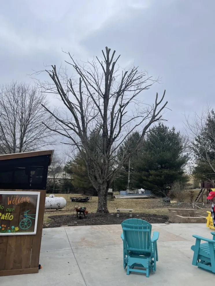 Local landscaping services for outdoor upgrades across Bowling Green, KY - Shepherds Lawn and Tree Service