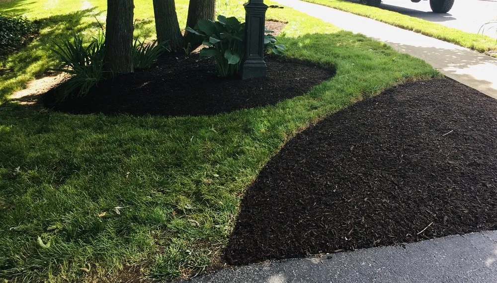 Affordable yard cleanup service in NEW SALEM BRO, PA - Shepherds View