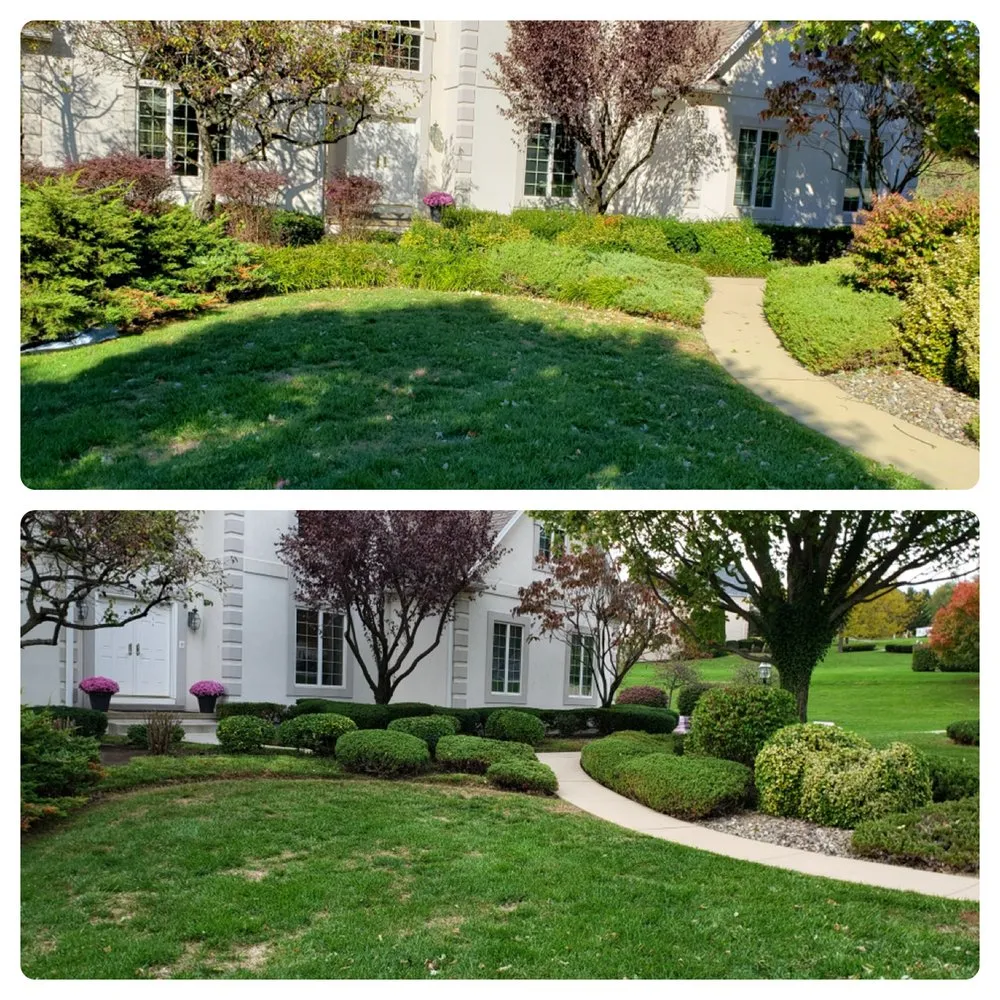 Custom yard cleanup service for year-round maintenance across NEW SALEM BRO, PA - Shepherds View