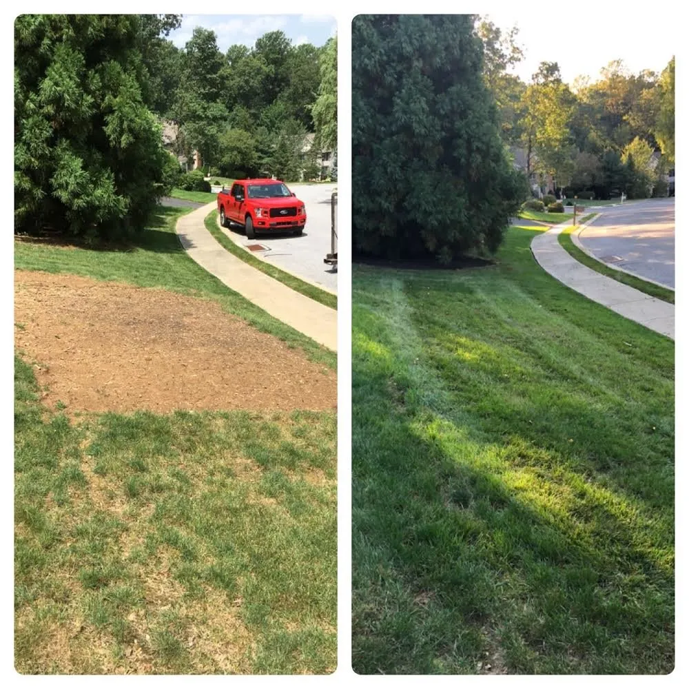 Top-rated yard maintenance experts serving NEW SALEM BRO, PA - Shepherds View