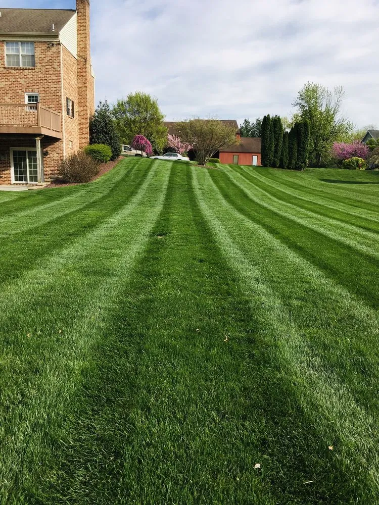 Custom lawn care service in NEW SALEM BRO, PA by Shepherds View