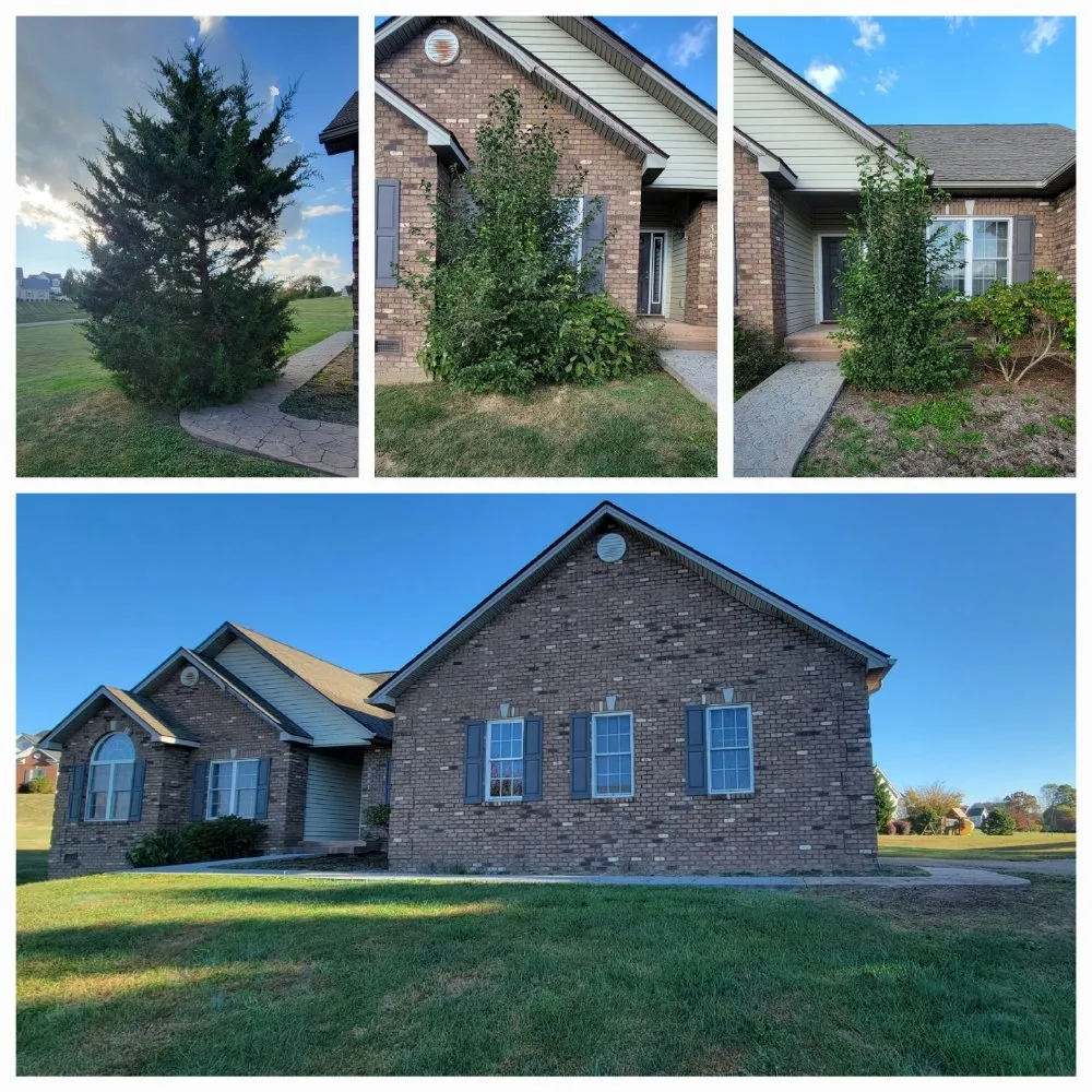 Top-rated residential landscaping in Riner, VA - Sheppard Services