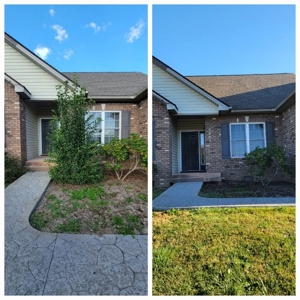 Affordable landscaping services experts serving Riner, VA - Sheppard Services