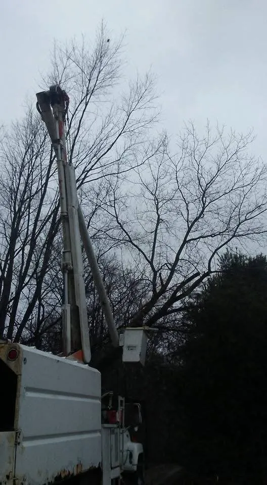 Trusted garden landscaping in Milford, MI by Shepps Tree & Outdoor Svc