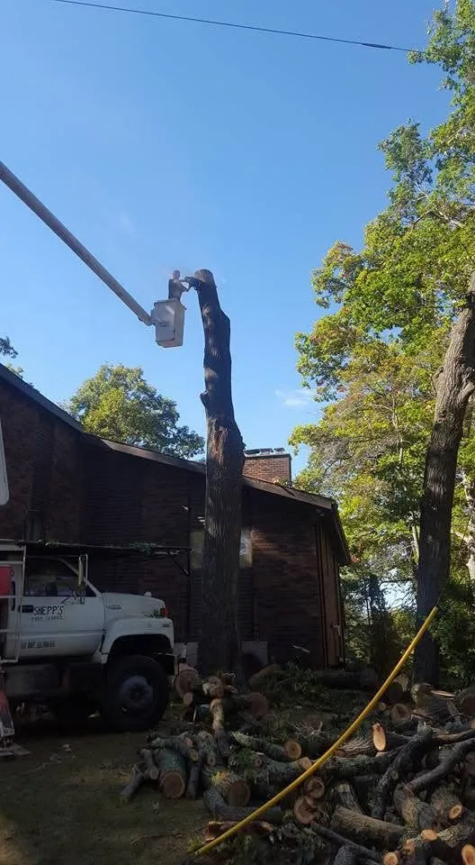 Trusted landscape installation experts serving Milford, MI - Shepps Tree & Outdoor Svc