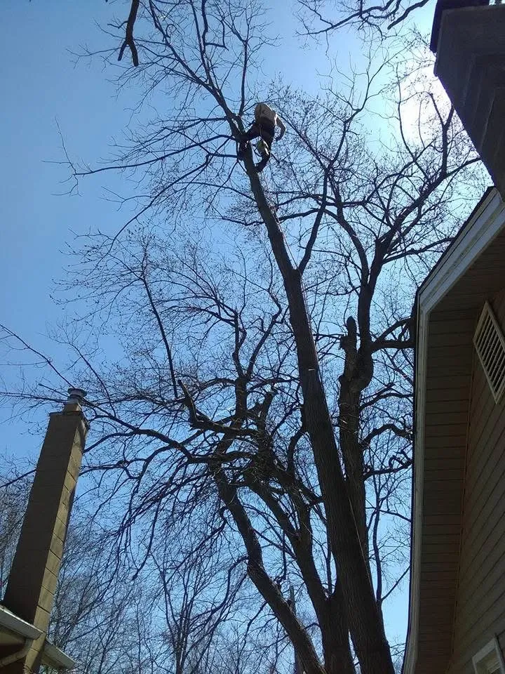 Affordable landscape design for homes across Milford, MI - Shepps Tree & Outdoor Svc