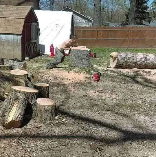 Expert landscape design for homes in Milford, MI by Shepps Tree & Outdoor Svc